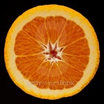 Orange 이미지 (147910339) - 게티이미지뱅크 Orange