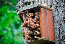 Bee box on a tree 이미지 (177500195) - 게티이미지뱅크 Bee box on a tree