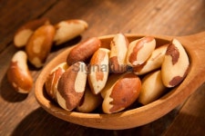 Brazil nuts 이미지 (175548061) - 게티이미지뱅크 Brazil nuts