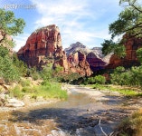 Zion National Park 이미지 (178379186) - 게티이미지뱅크 Zion National Park