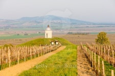 chapel with vineyard, Czech Republic 이미지 (178387766) - 게티이미지뱅크 chapel with vineyard, Czech Republic