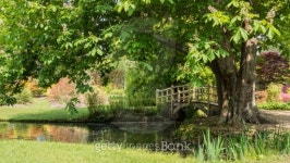 By The Pond 이미지 (178369816) - 게티이미지뱅크 By The Pond
