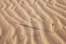 abstract sand background with sunlight and grass in desert 이미지 (177533965) - 게티이미지뱅크 abstract sand background with... 