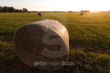 Bale of Straw 이미지 (177403312) - 게티이미지뱅크 Bale of Straw