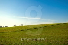 green and blue 이미지 (177237456) - 게티이미지뱅크 green and blue
