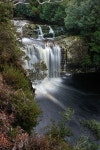 Pencil Pine Falls in Cradle Mountain-Lake St Clair National Park 이미지 (175482426) - 게티이미지뱅크 Pencil Pine Falls in... 