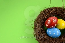 Easter nest 이미지 (149160962) - 게티이미지뱅크 Easter nest
