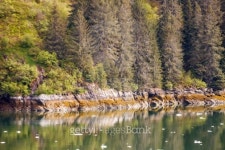 Colorful Coast with Ice Flowing 이미지 (148978490) - 게티이미지뱅크 Colorful Coast with Ice Flowing