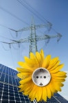 Solar panels, sunflower with socket and utility pole 이미지 (148289449) - 게티이미지뱅크 Solar panels, sunflower with socket... 
