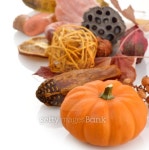 Fall Background 이미지 (156339912) - 게티이미지뱅크 Fall Background