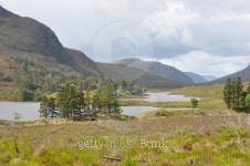 Glen Torridon 이미지 (142272453) - 게티이미지뱅크 Glen Torridon