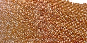 various cigarettes closeup 이미지 (177428541) - 게티이미지뱅크 various cigarettes closeup