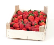 Strawberries in box 이미지 (175411195) - 게티이미지뱅크 Strawberries in box