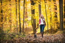 Young Woman with Walking Her Dog Outdoors in the Fall 이미지 (174771497) - 게티이미지뱅크 Young Woman with Walking Her Dog... 