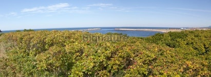 Gulf of St. Lawrence Panorama 이미지 (174801601) - 게티이미지뱅크 Gulf of St. Lawrence Panorama