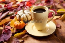 Pumpkin flavored coffee 이미지 (174787280) - 게티이미지뱅크 Pumpkin flavored coffee