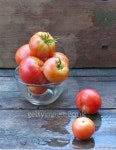 sweet ripe tomatoes 이미지 (177503260) - 게티이미지뱅크 sweet ripe tomatoes
