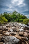 Mangrove forest with bay stone 이미지 (155751430) - 게티이미지뱅크 Mangrove forest with bay stone