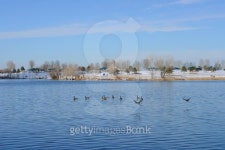 Spring Park 이미지 (166576489) - 게티이미지뱅크 Spring Park