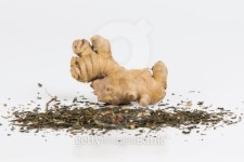 China GrÃ¼ntee Ingwer 이미지 (462609615) - 게티이미지뱅크 China GrÃ¼ntee Ingwer