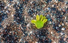 STOP toy on the beach 이미지 (181394220) - 게티이미지뱅크 STOP toy on the beach