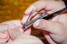 Clipping nails 이미지 (457406575) - 게티이미지뱅크 Clipping nails