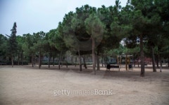 Parque publico 이미지 (181381244) - 게티이미지뱅크 Parque publico