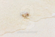 Beach waves 이미지 (174338160) - 게티이미지뱅크 Beach waves