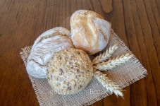 gourmet bread 이미지 (185889358) - 게티이미지뱅크 gourmet bread