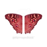 Red butterfly wings isolated white background. 이미지 (187951270) - 게티이미지뱅크 Red butterfly wings isolated white background.