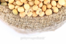 Soybean in hemp sacks isolated white background. 이미지 (451193715) - 게티이미지뱅크 Soybean in hemp sacks isolated white... 