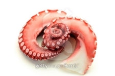 boiled octopus 이미지 (160336371) - 게티이미지뱅크 boiled octopus