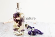 aroma therapy lavender body oil 이미지 (172463698) - 게티이미지뱅크 aroma therapy lavender body oil