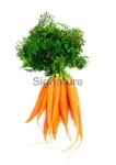 Vegetables: Carrots 이미지 (174837451) - 게티이미지뱅크 Vegetables: Carrots