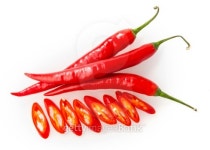 Pepper 이미지 (457417073) - 게티이미지뱅크 Pepper