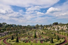 Garden 이미지 (186160823) - 게티이미지뱅크 Garden