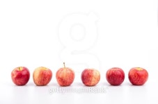 Apple 이미지 (186333458) - 게티이미지뱅크 Apple