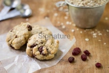 Cranberry Oatmeal Cookies with White Chocolate Chips and Macadam 이미지 (180717616) - 게티이미지뱅크 Cranberry Oatmeal... 