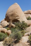 Skull Rock In Joshua Tree National Park 이미지 (172468307) - 게티이미지뱅크 Skull Rock In Joshua Tree National Park