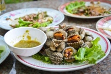 Boiled cockles 이미지 (174107815) - 게티이미지뱅크 Boiled cockles