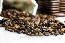 Coffee beans on a white 이미지 (178271257) - 게티이미지뱅크 Coffee beans on a white