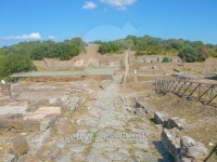 Roselle archeological park 이미지 (459957233) - 게티이미지뱅크 Roselle archeological park