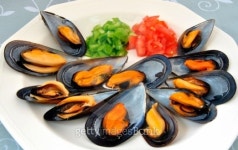Mussel salad 이미지 (178477826) - 게티이미지뱅크 Mussel salad