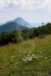 Tourist photo. Big Rozsutec (Velky Rozsutec) in the background. 이미지 (176511322) - 게티이미지뱅크 Tourist photo. Big... 