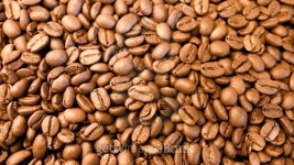 Coffee Bean after roast 이미지 (186019096) - 게티이미지뱅크 Coffee Bean after roast