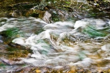 flowing water, nice small creek in wonderful color 이미지 (170588115) - 게티이미지뱅크 flowing water, nice small creek in... 