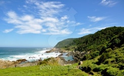 Otter trail tsitsikamma national park 이미지 (179233758) - 게티이미지뱅크 Otter trail tsitsikamma national park