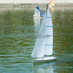 알씨요트세일링협회 | Leisure Activity, RC Sailing 이미지 (179515221) - 게티이미지뱅크 Leisure Activity, RC Sailing