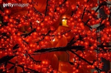 Red lantern Chinese New Year 이미지 (180081669) - 게티이미지뱅크 Red lantern Chinese New Year