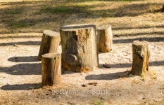 Stumps used as table and chairs outside in the garden 이미지 (452050195) - 게티이미지뱅크 Stumps used as table and chairs... 